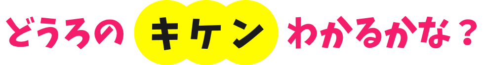 道路の危険わかるかな？