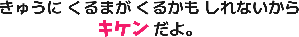 きゅうに くるまが くるかも しれないから キケン だよ。