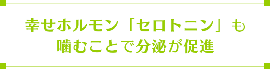 幸せホルモン「セロトニン」も噛むことで分泌が促進