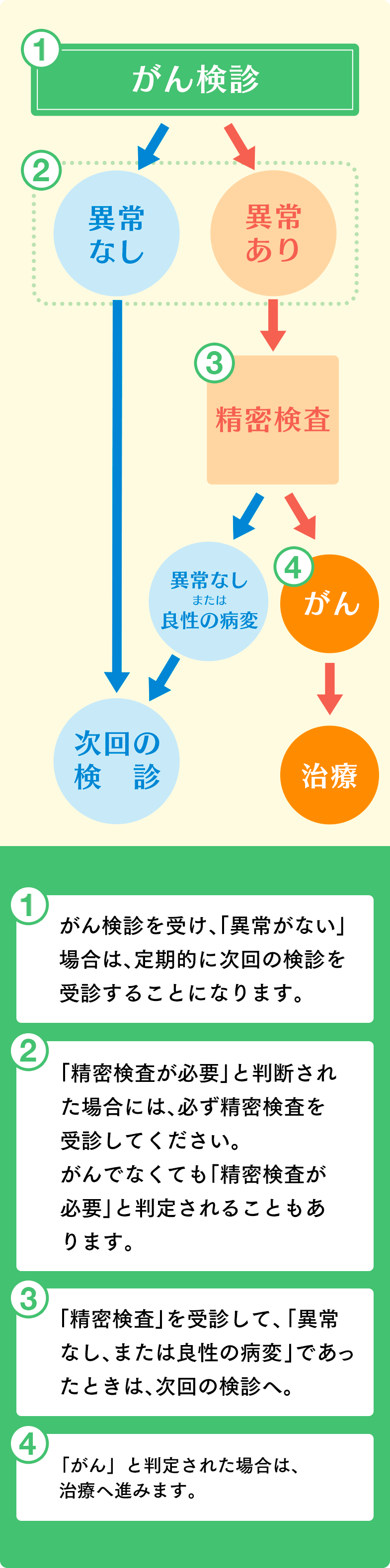 検診の流れ