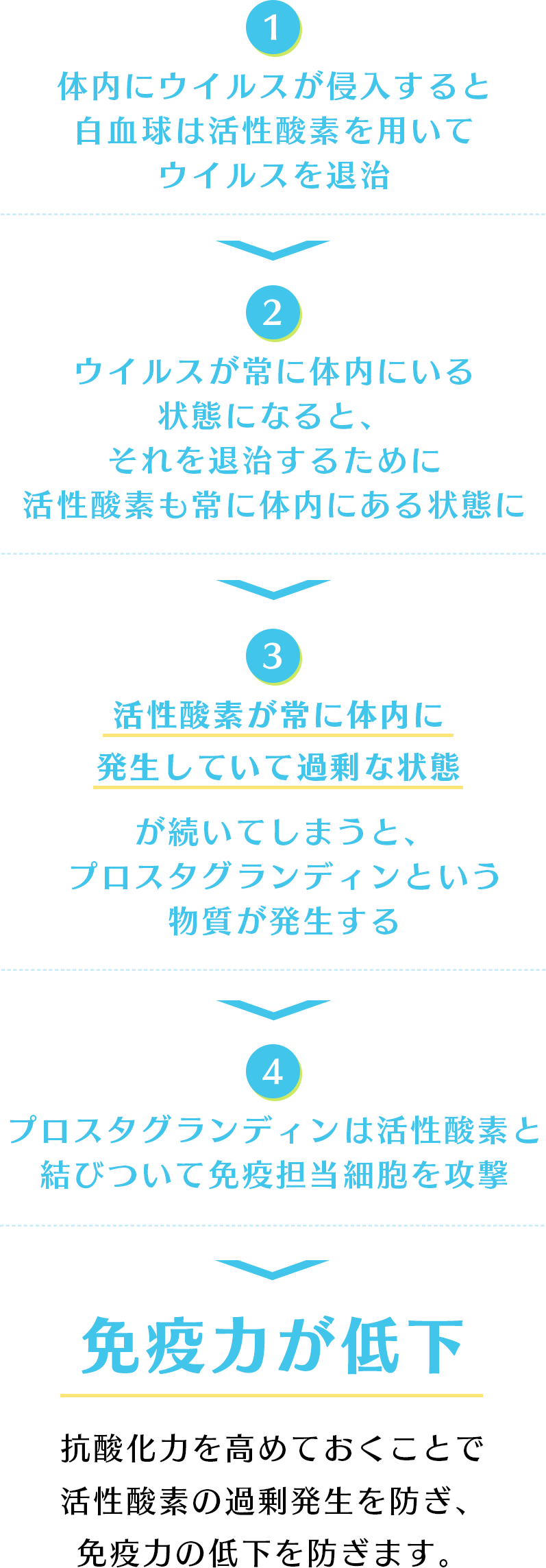 体内にウイルスが侵入すると白血球は活性酸素を用いてウイルスを退治ウイルスが常に体内にいる状態になると、それを退治するために活性酸素も常に体内にある状態に活性酸素が常に体内に発生していて過剰な状態が続いてしまうと、プロスタグランディンという物質が発生するプロスタグランディンは活性酸素と結びついて免疫担当細胞を攻撃免疫力が低下抗酸化力を高めておくことで活性酸素の過剰発生を防ぎ、免疫力の低下を防ぎます。