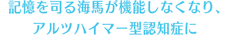 記憶を司る海馬が機能しなくなり、アルツハイマー型認知症に