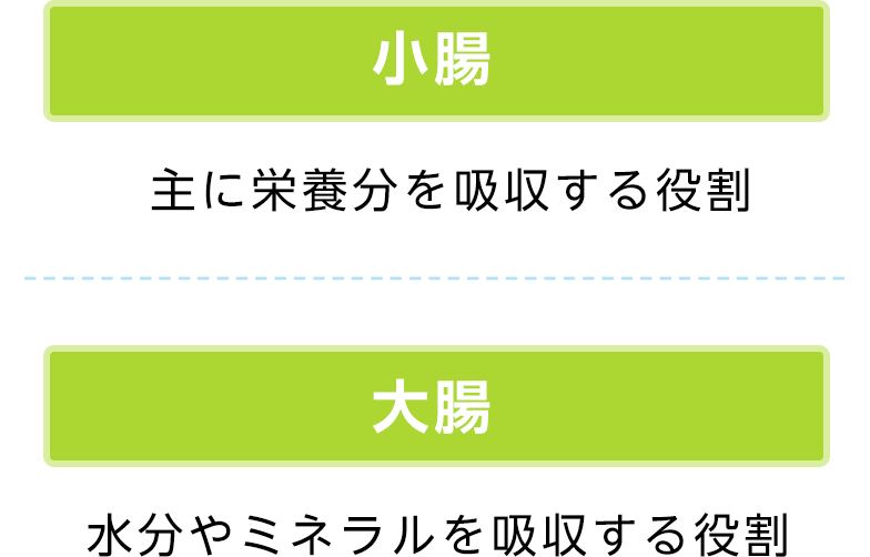 日本人に多い生活習慣病