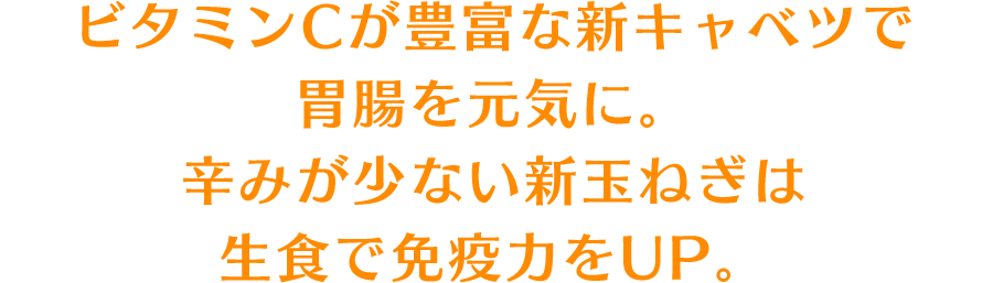 ビタミンCが豊富な新キャベツで胃腸を元気に。辛みが少ない新玉ねぎは生食で免疫力をUP。