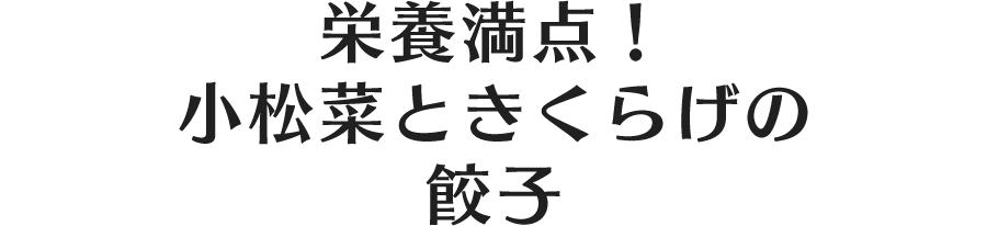 栄養満点！小松菜ときくらげの餃子