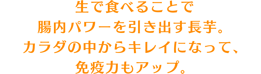 生で食べることで腸内パワーを引き出す長芋。カラダの中からキレイになって、免疫力もアップ。