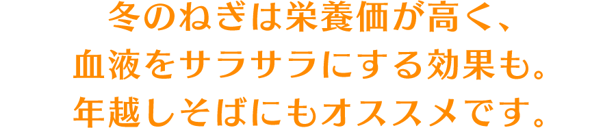 冬のねぎは栄養価が高く、血液をサラサラにする効果も。年越しそばにもオススメです。