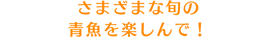 さまざまな旬の青魚を楽しんで！