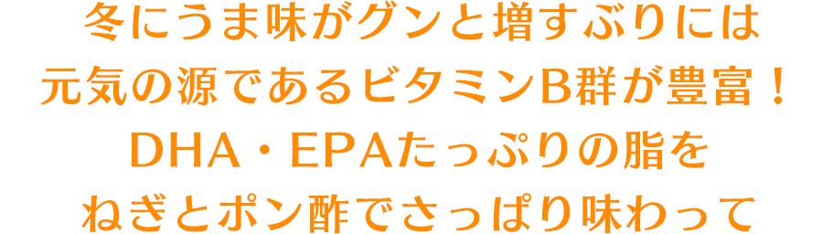 冬にうま味がグンと増すぶりには元気の源であるビタミンB群が豊富！DHA・EPAたっぷりの脂をねぎとポン酢でさっぱり味わって