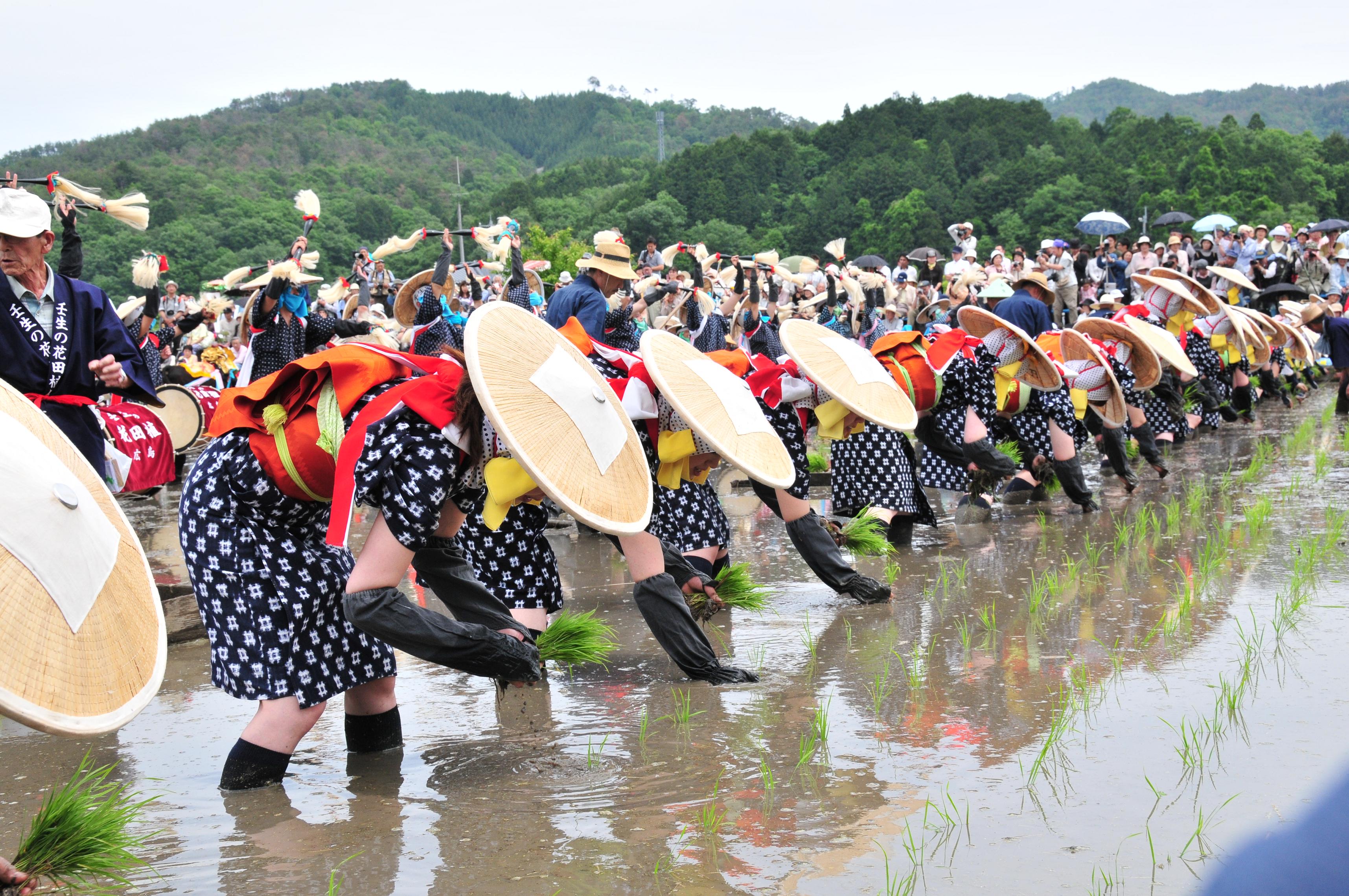 壬生の花田植 Ja共済 ちいきのために 47都道府県の祭り 伝統芸能