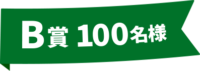 B賞 100名様